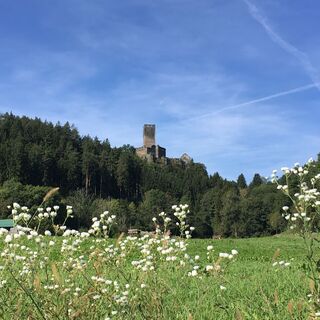 Blick auf die Ruine Liebenfels