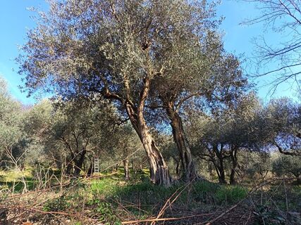 Fotografija s spletne strani Luca Zagallo na poti