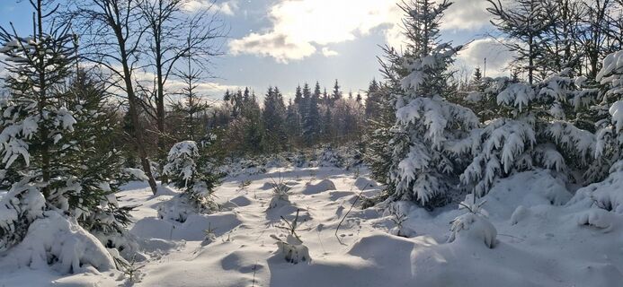 Foto von Jan Hozl entlang der Tour