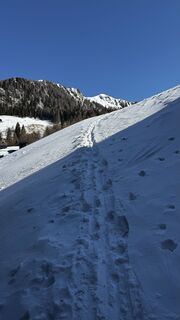 Fotografija s spletne strani ROBERTO BONIOTTI na poti