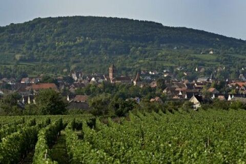 Office de Tourisme du Mont Ste Odile - Rosheim