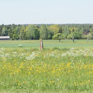 Wald, Felder und bunte Wiesen