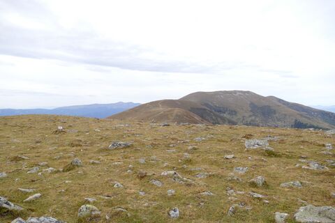 Der Weg auf den Amering
