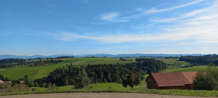 Kuva osoitteesta mosi mönä matkan varrella