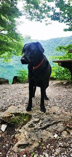 Foto von Klaus Lehner entlang der Tour