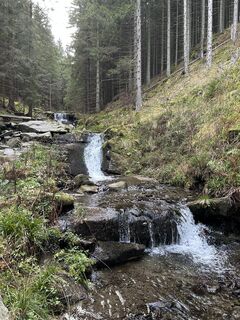 Fotografia z Tom_Pils 2700 na trase