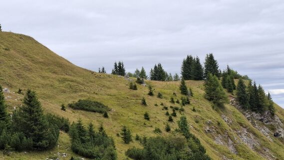Foto von fuzzy68 entlang der Tour
