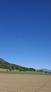 Foto von Mangolein entlang der Tour