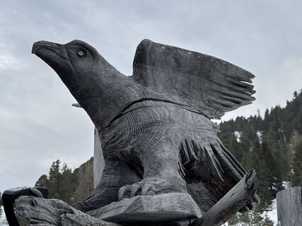 Foto von Grizzli entlang der Tour