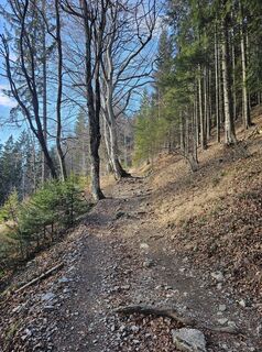 Fotografie z Nedžad Jušić na trase