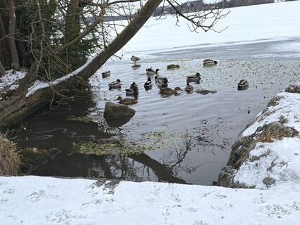 Foto von Anita Maigler entlang der Tour