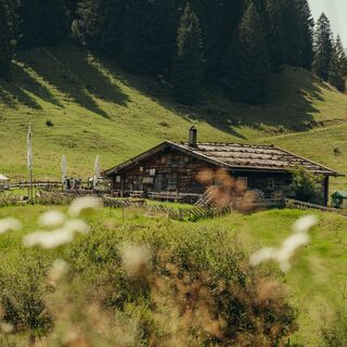 Alpe Gschwenderberg