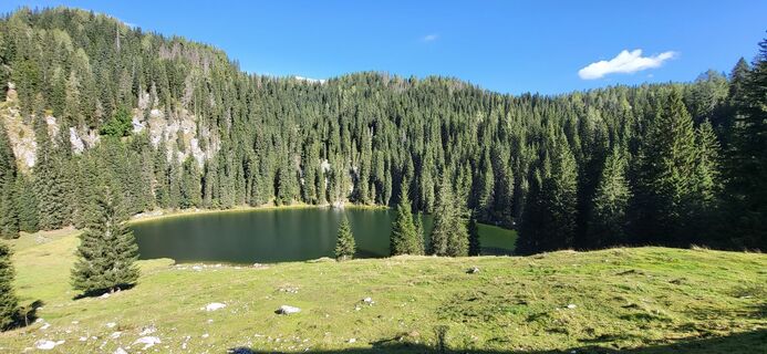 Foto fra Igor napast undervejs på turen