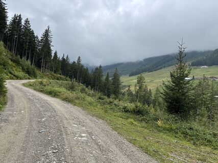 Photo de Sylvia Sellung le long du parcours