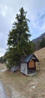 Fotografia z Deutsch Margit na trase