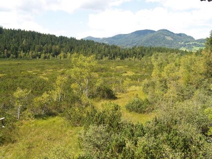 Naturschutzgebiet Dürnberger Moor