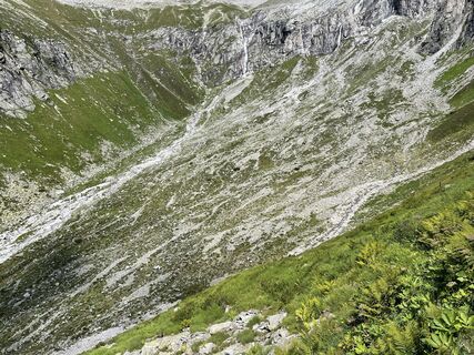 Fotografia z filbro na trase