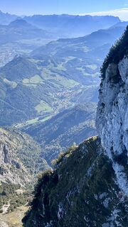 Photo de Mountain Cat ? ⛰️ le long du parcours