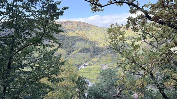 Photo de Johann Sommer le long du parcours