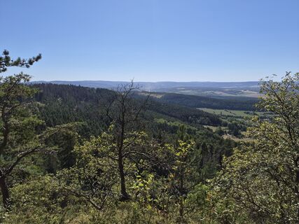 Foto von Wollomator entlang der Tour