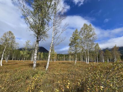 Fotografia z enipeus 65 na trase