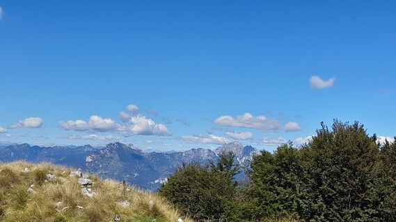 Fotografija s spletne strani Brigitte Hain na poti