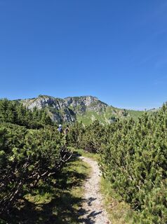 Photo de Franz Scholler 1 le long du parcours