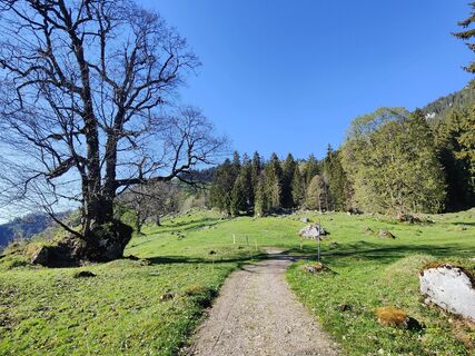 Foto von Darius Amarapura entlang der Tour