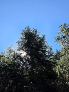 Foto von Simone Weimann entlang der Tour