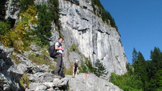 Spitzsteinwand