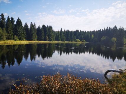 Foto von Denis Trapp 1 entlang der Tour