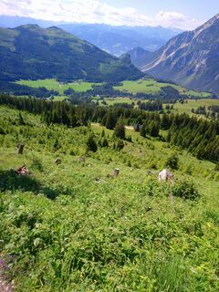Blick Richtung Wörschachwald und in der Mitte das Gindlhorn, links daneben ist der Brandangerkogel.