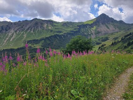 Foto von Christian Haßmann entlang der Tour