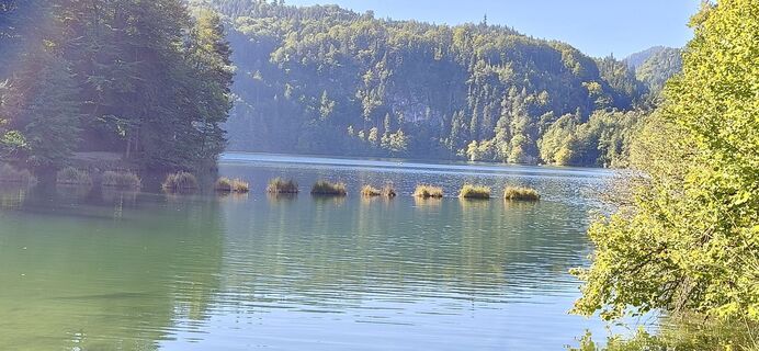 Fotografija s spletne strani Helmut Eibl na poti