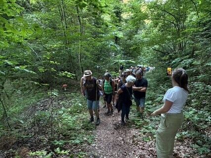 Zauberwald _Wanderung_Oststeiermark
