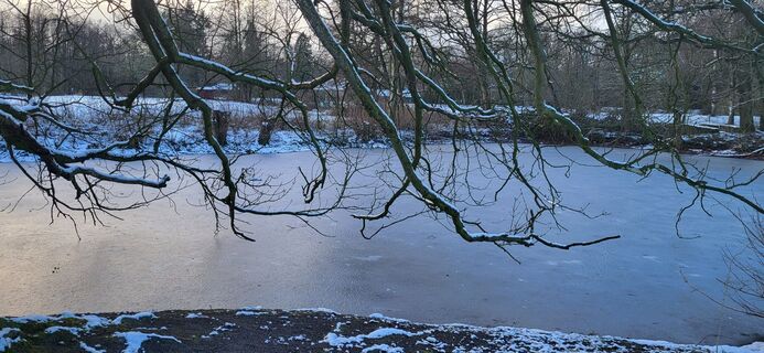 Photo de Angie Rickert le long du parcours