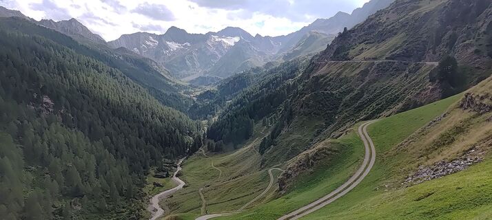 Fotografija s spletne strani wolfkl na poti