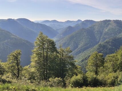 Fotografija s spletne strani josef duermoser na poti