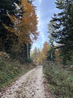 Foto von Heinz Sperl entlang der Tour