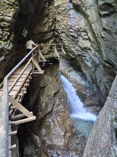 Photo de Dobber Willi le long du parcours