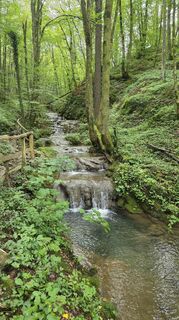 Photo de Planinc Igor le long du parcours