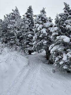 Фото с сайта Heinz Sperl во время экскурсии