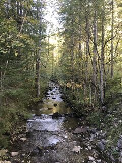 Fotografie de la Tine Harth de-a lungul turului
