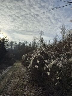 Photo de Maximilian Dobmeier le long du parcours
