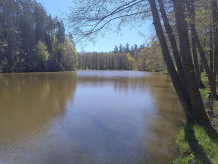 Photo de Betzenbergfex le long du parcours