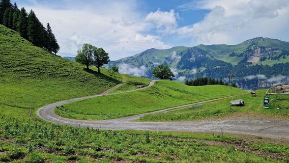 Fotografie z Gerrit van der Linde na trase