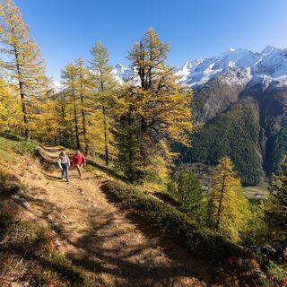 Der Sonnenweg im Herbst