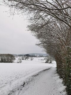 Fotografia z Chris Schöbben na trase