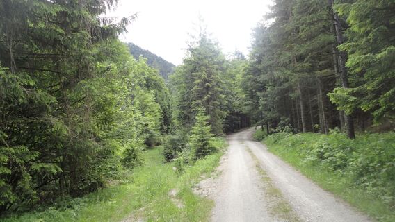 Wallerbachgraben