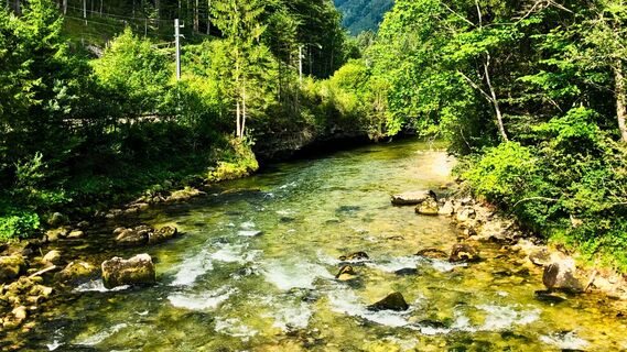 Koppentraun unterhalb Sarstein